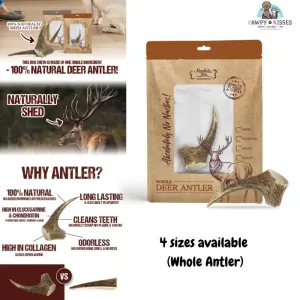 Absolute Bites Whole Deer Antlers Dental Chew (4 Sizes)