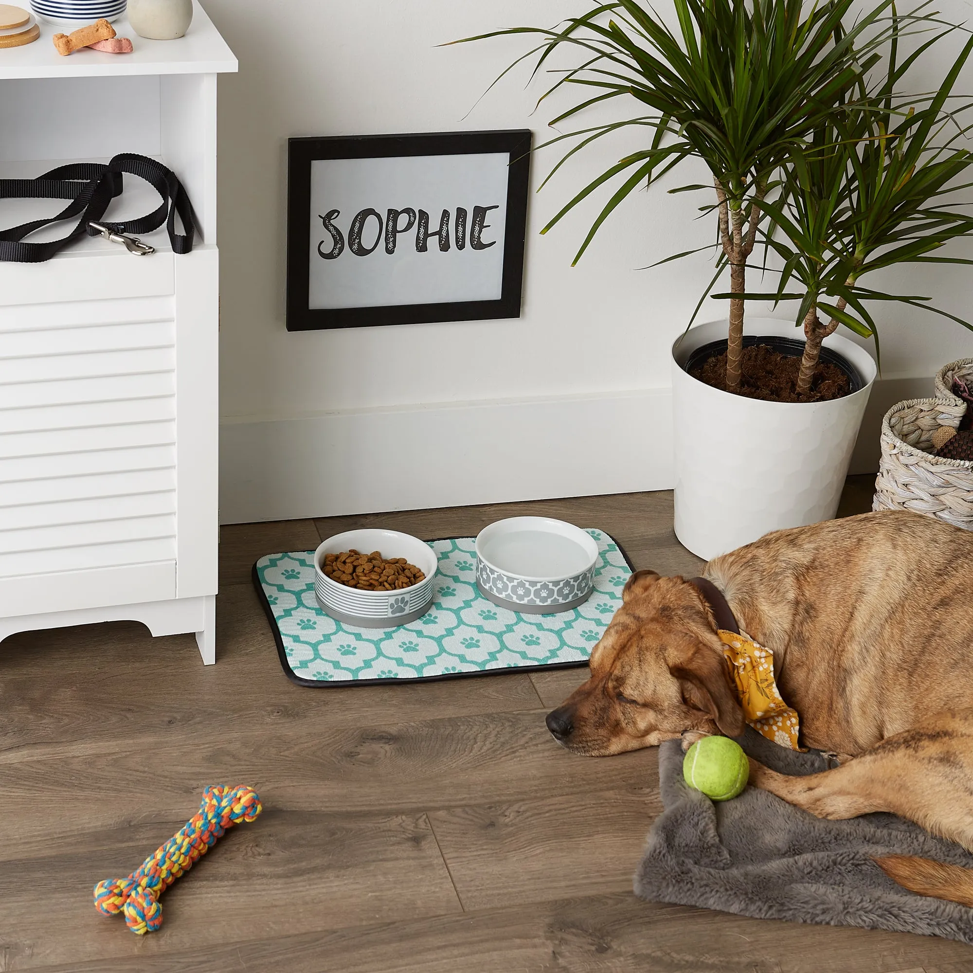 Aqua Lattice Paw Print Pet Mat