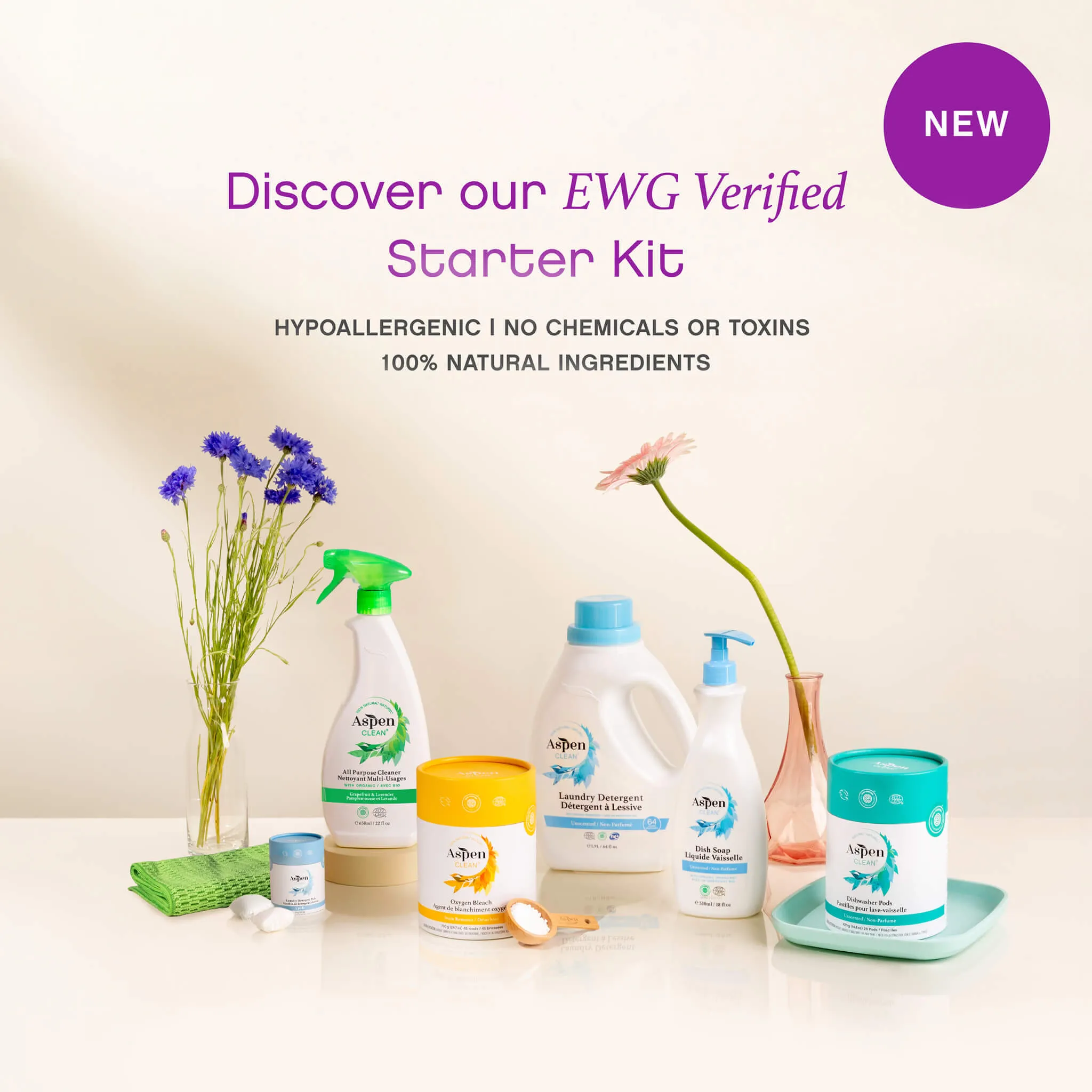 AspenClean Starter Cleaning Kit