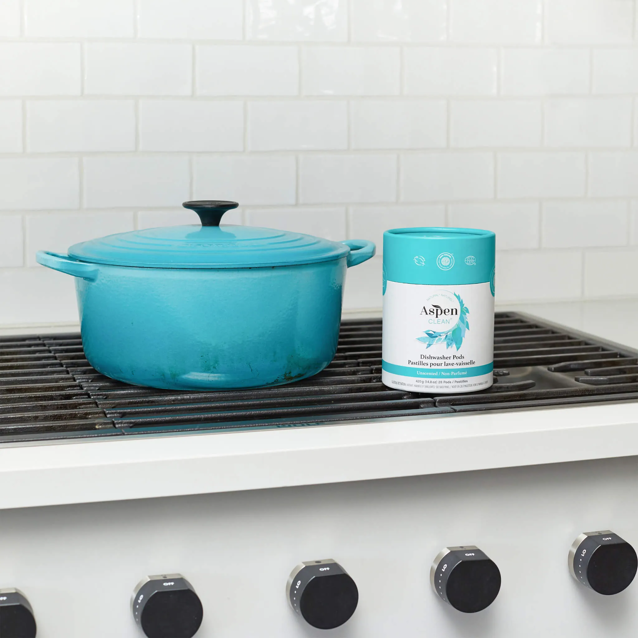 AspenClean Starter Cleaning Kit