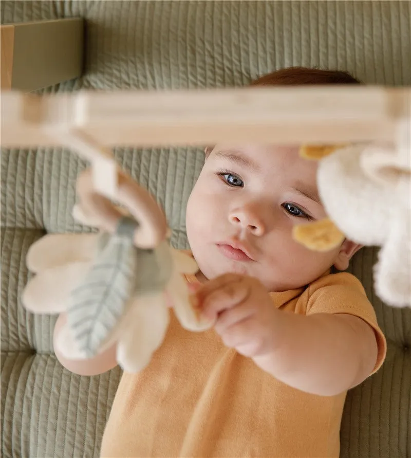 Baby gym Suitable from birth