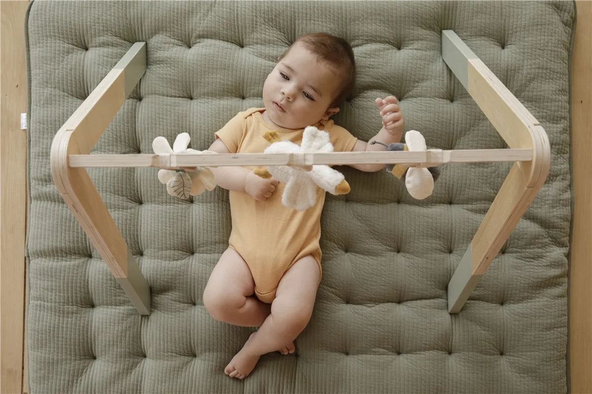 Baby gym Suitable from birth