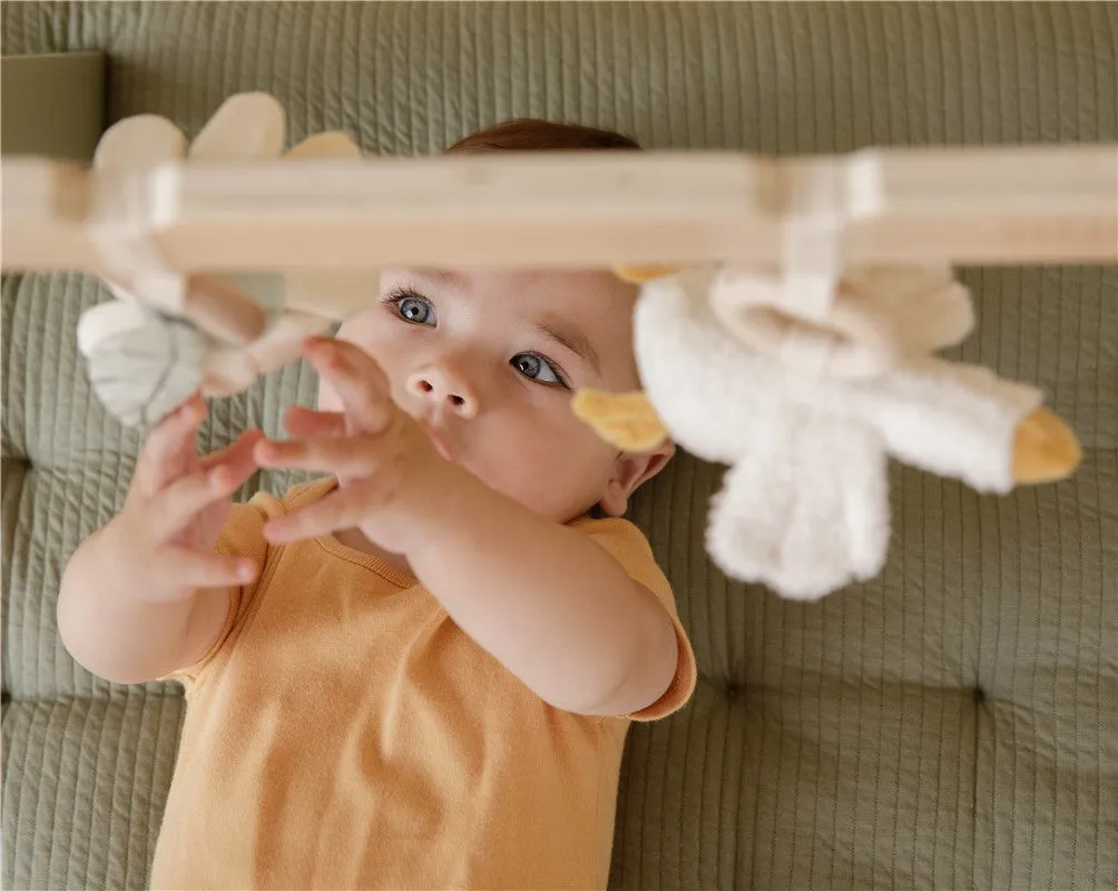 Baby gym Suitable from birth