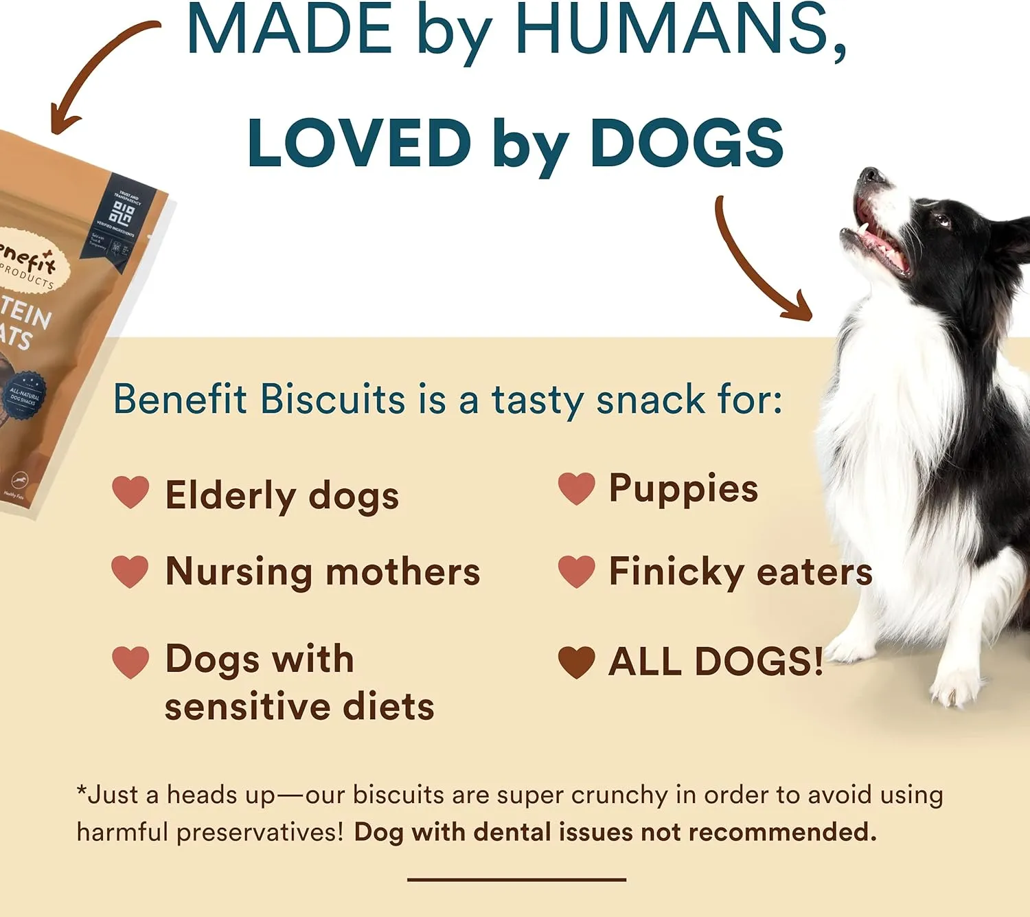 Benefit Biscuits, All Natural Dog Treats, Certified Vegan, Non GMO, Wheat Free, Healthy Dog Biscuits, Made in USA (Peanut Butter, Large Bag (1lb))