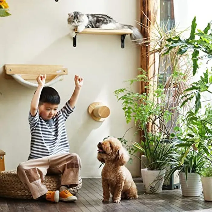 Cat stairs wall, climbing step (pack of 2), solid rubber wood