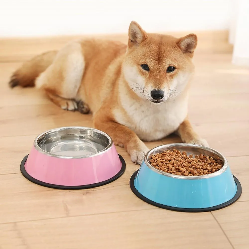 Colorful Stainless Steel Dog Bowls - Anti-slip