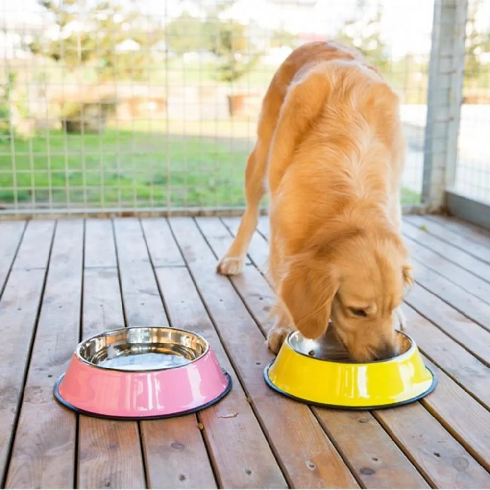 Colorful Stainless Steel Dog Bowls - Anti-slip