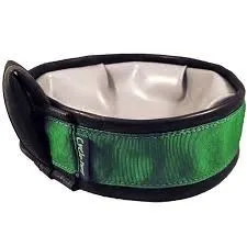 Cycle Dog Trail Buddy Bowl