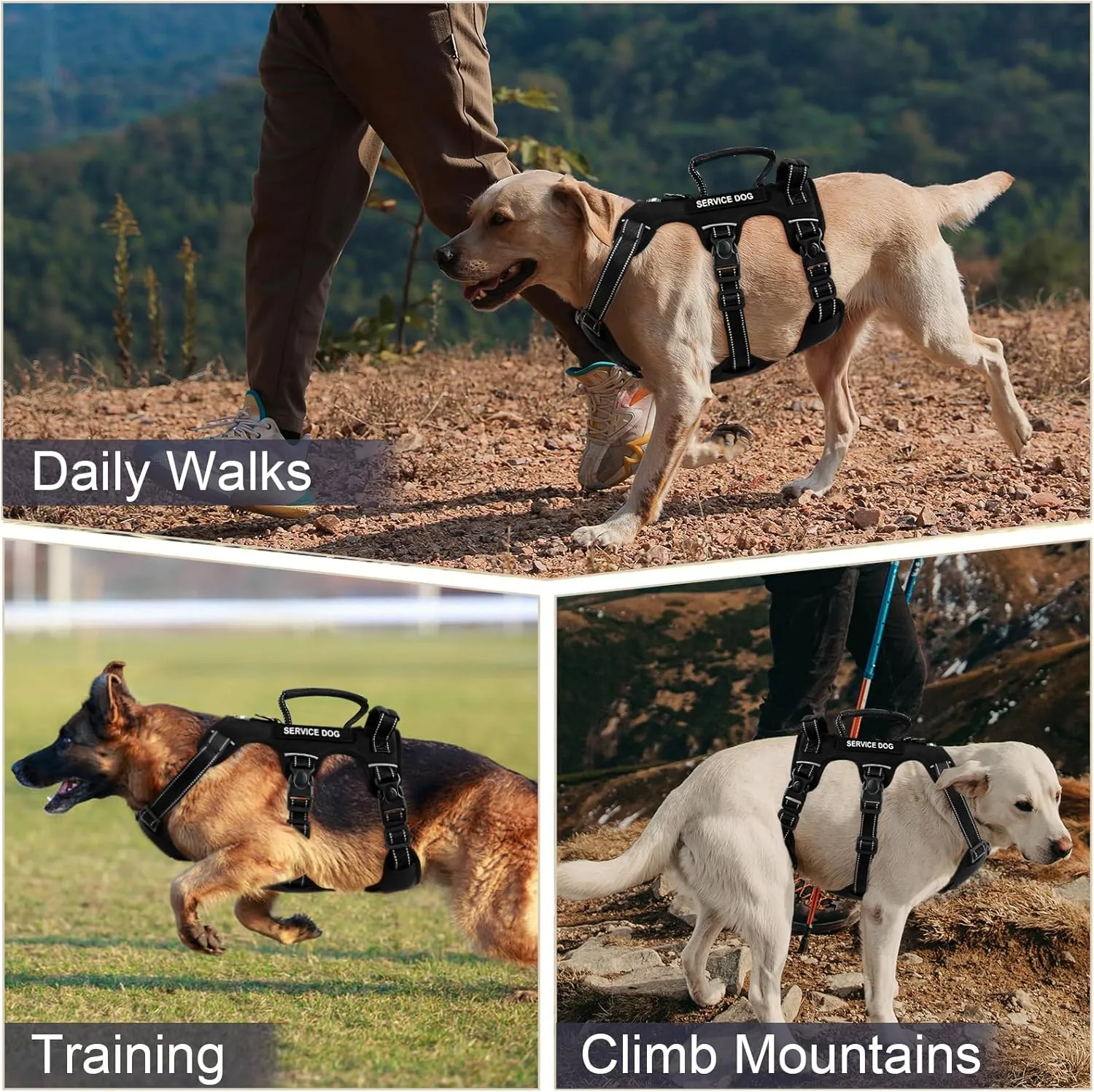 Escape Proof Dog Harness for Large Medium Sized Dogs Six Point Adjustable, Service Dog Vest Harness and Leash Set, No Pull Dogs Harnesses with Handle, Medium Dog Harnesses for Walking(Black, S)