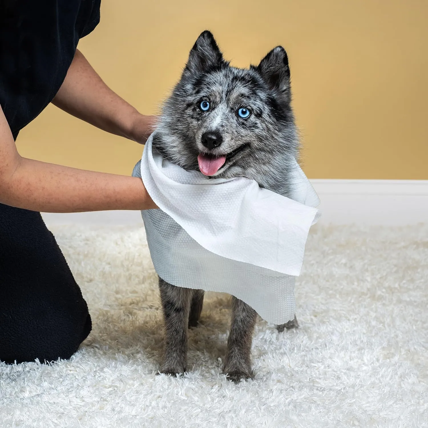Himmy Large Pet Wipes for Dogs and Cats - 12" x 18" Bath Wipes for Cleaning, Deodorizing, Conditioning, Anti-Itch Grooming, Wet Dog Wipes for Paws, Butt, Ear, Eye, Face, Body Lavender