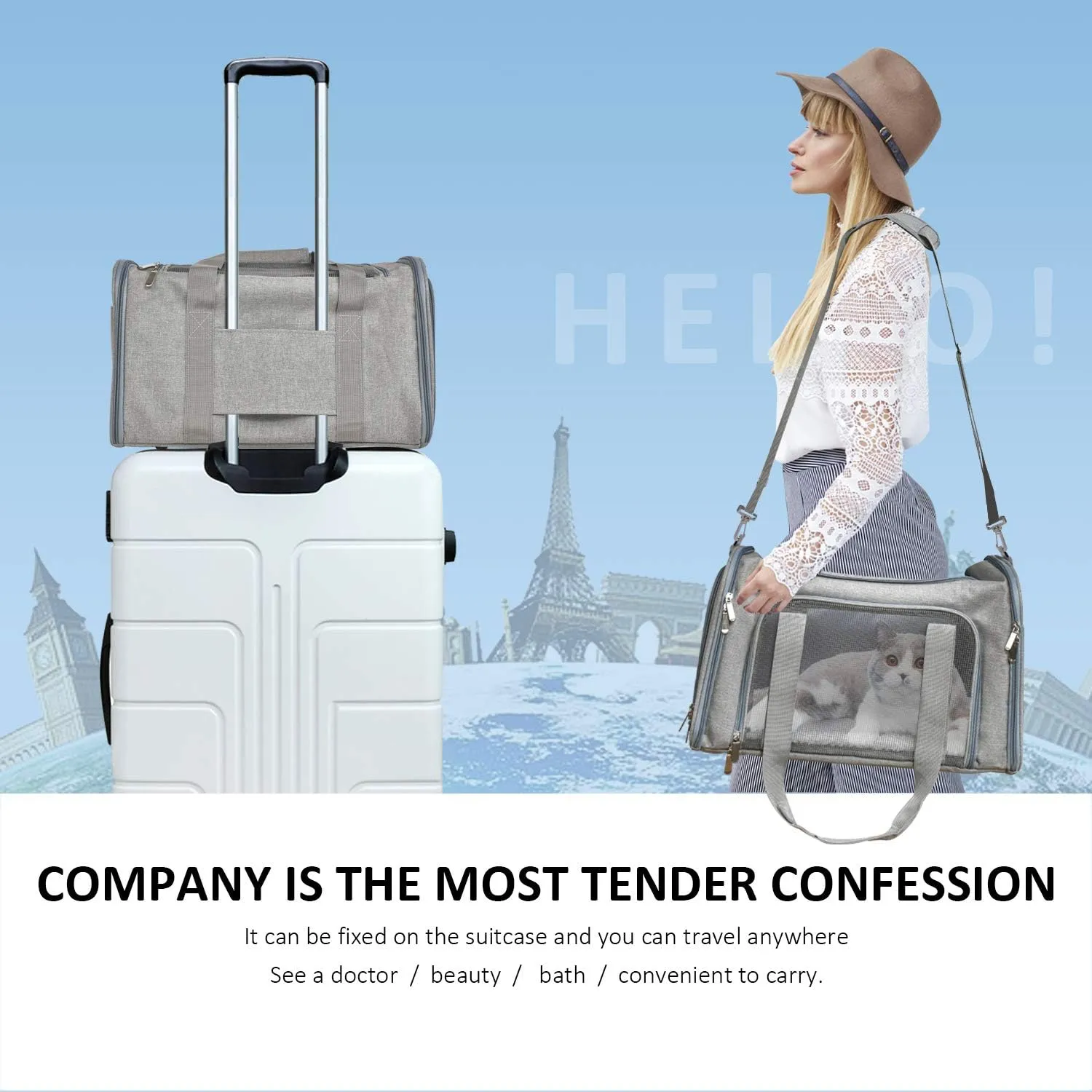 Large Dog Cat Carriers Puppies up to 25Lbs, Big Dog Carrier Soft Sided, Collapsible Travel Puppy Carrier - Large - Grey