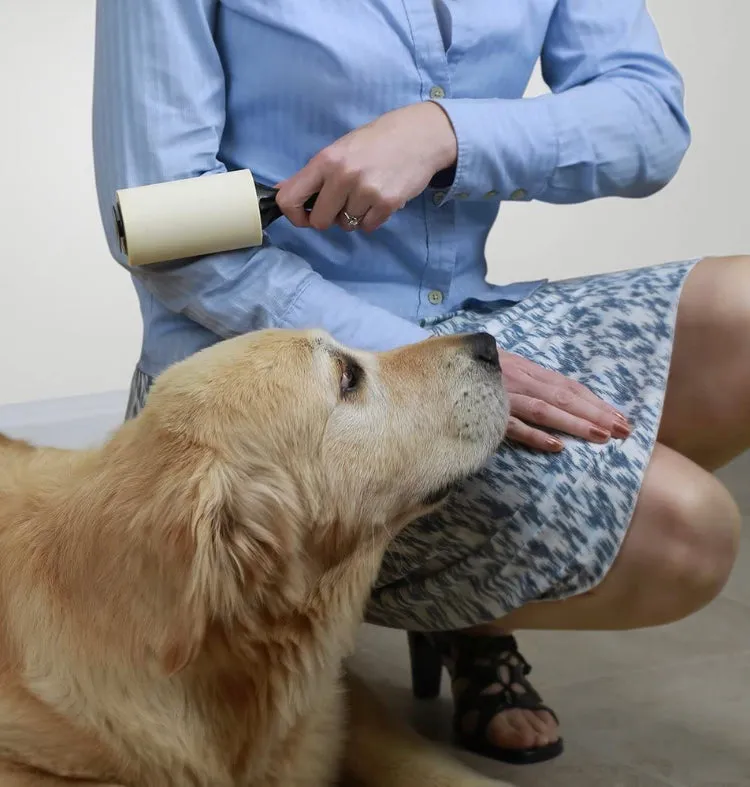 my Bad Travel Lint Roller 3 Pack