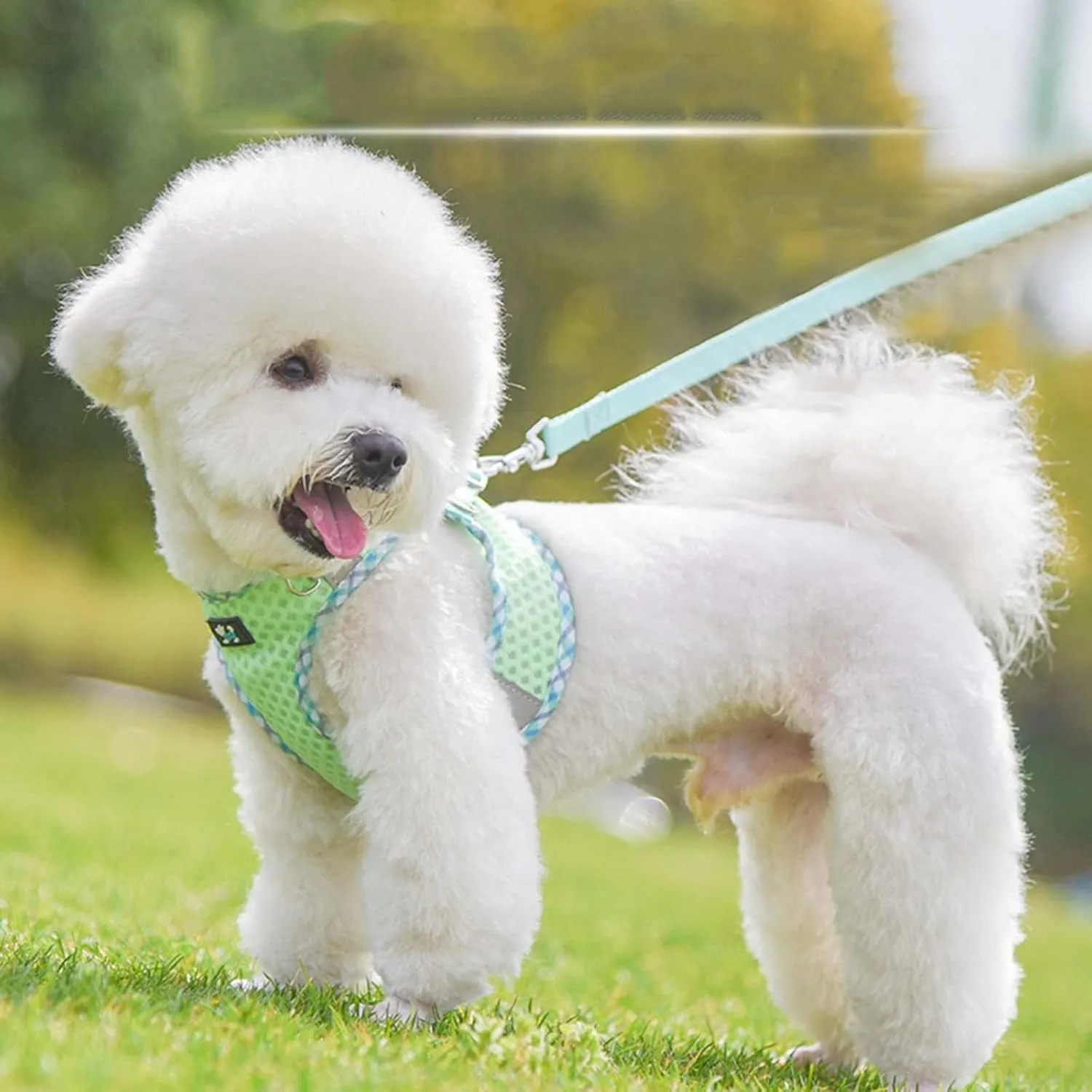 No Pull Dog Harness - Puppy Harness Leash Set, Soft Adjustable No Choke Escape Proof Pet Harness Vest, Multifunction Easy Walk Dog Harness for Walking, Running, Small Medium Large Dogs (B1-M)
