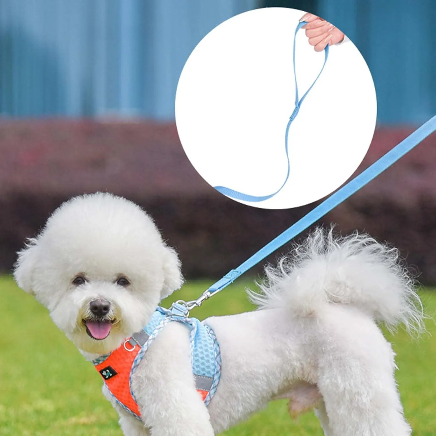 No Pull Dog Harness - Puppy Harness Leash Set, Soft Adjustable No Choke Escape Proof Pet Harness Vest, Multifunction Easy Walk Dog Harness for Walking, Running, Small Medium Large Dogs (B1-M)
