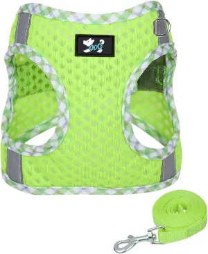 No Pull Dog Harness - Puppy Harness Leash Set, Soft Adjustable No Choke Escape Proof Pet Harness Vest, Multifunction Easy Walk Dog Harness for Walking, Running, Small Medium Large Dogs (B1-M)