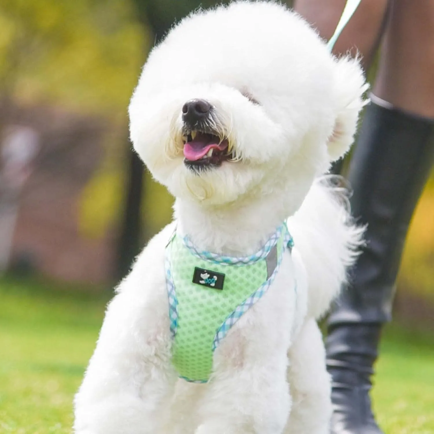 No Pull Dog Harness - Puppy Harness Leash Set, Soft Adjustable No Choke Escape Proof Pet Harness Vest, Multifunction Easy Walk Dog Harness for Walking, Running, Small Medium Large Dogs (B1-M)