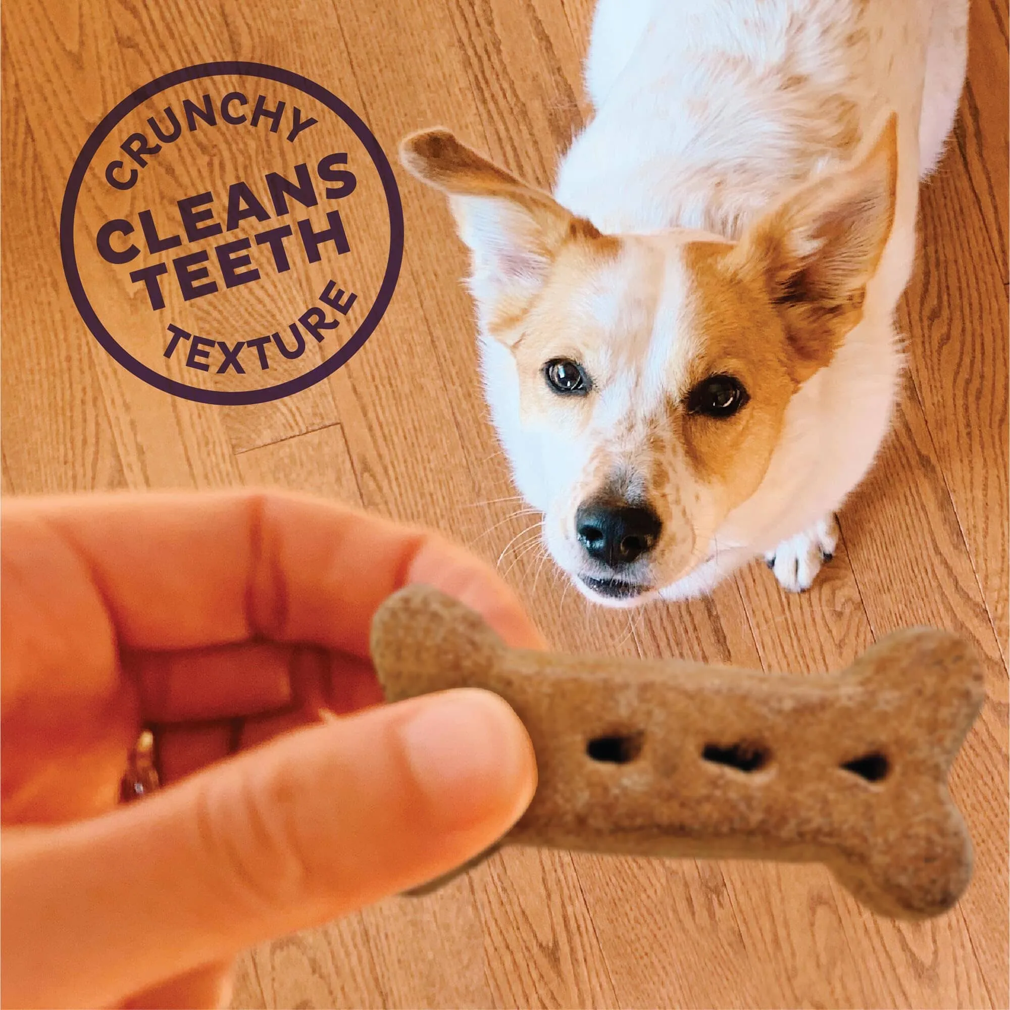 Old Mother Hubbard Crunchy Classic Natural Original Dog Biscuits