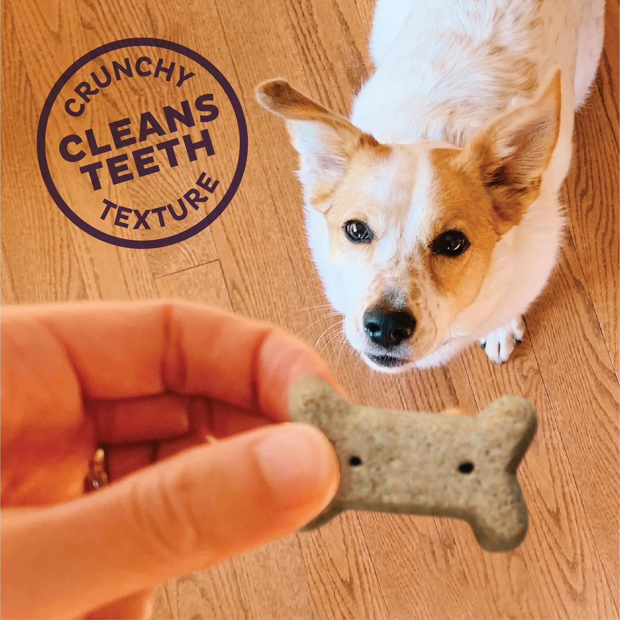 Old Mother Hubbard Crunchy Classic Natural Original Dog Biscuits