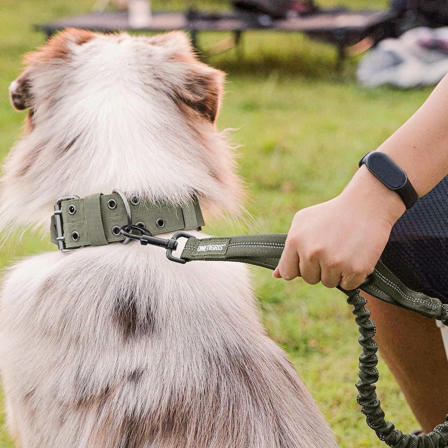 OneTigris Heavy Duty Bungee Dog Leash with Control Handle and Quick Release, Shock Absorption for No Pull Training (Green)