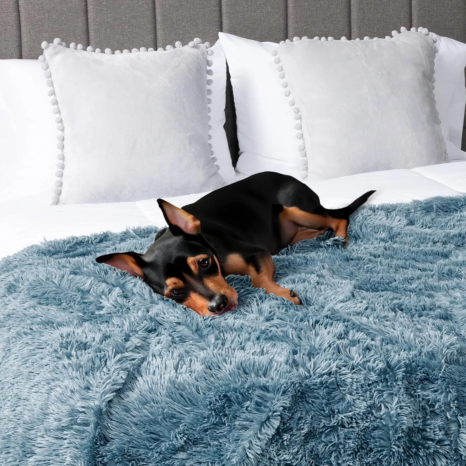 PetAmi Waterproof Dog Blanket for Medium Large Dogs, Calming Fleece Cat Blanket, Couch Protector Washable Sherpa Faux Fur Pet Throw for Puppy, Soft Reversible Leakproof 40x60 Light Blue