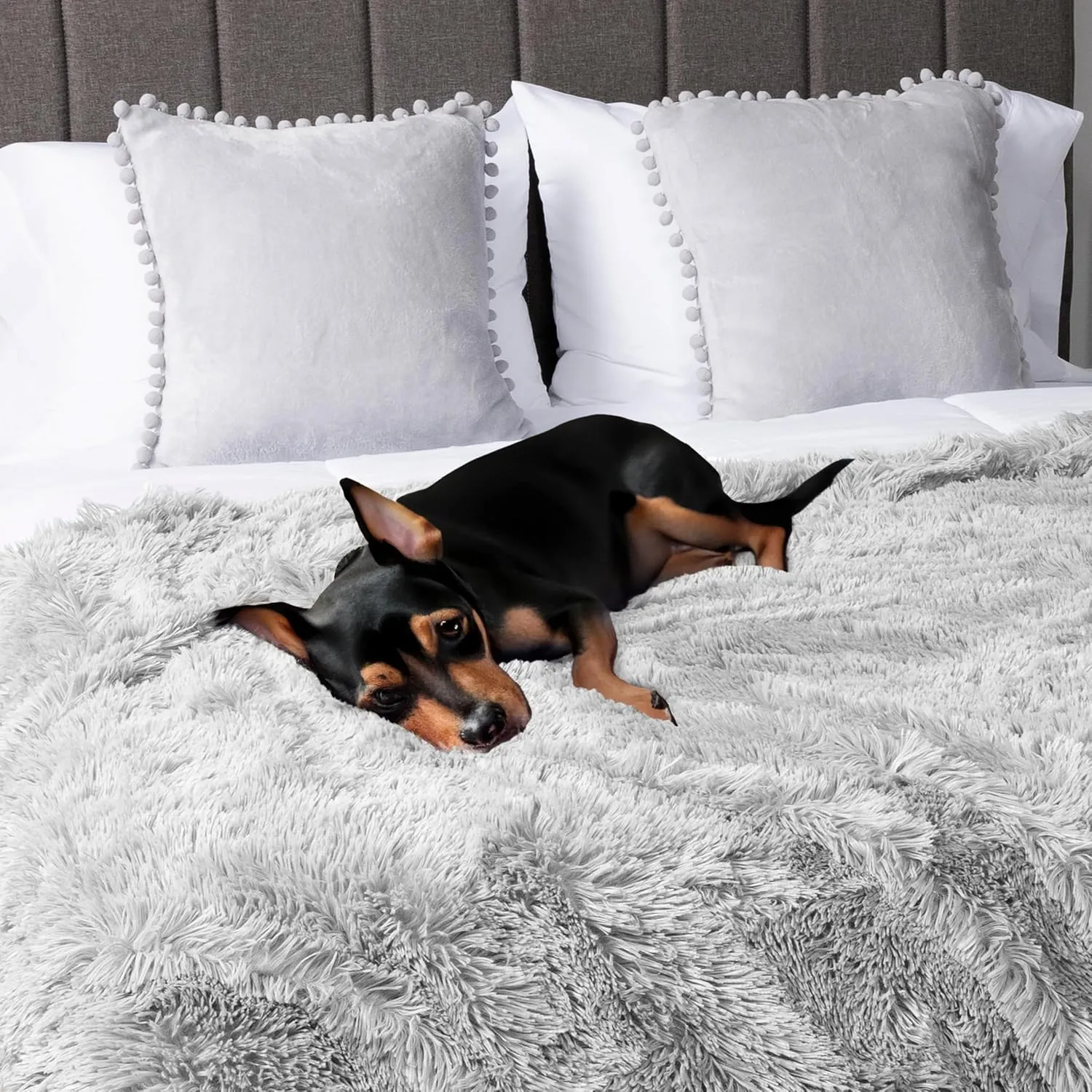 PetAmi Waterproof Dog Blanket for Medium Large Dogs, Calming Fleece Cat Blanket, Couch Protector Washable Sherpa Faux Fur Pet Throw for Puppy, Soft Reversible Leakproof 40x60 Light Gray