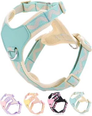 Petank Blue Large Dog Harness for Large Dogs, No Pull Dog Harness with 2 Leash Clips, Puppy Harness, Adjustable Dog Vest Harness (Blue, L)