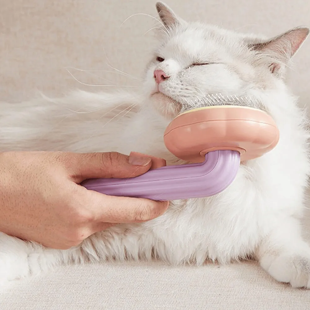 Pumpkin Pop Pet Brush