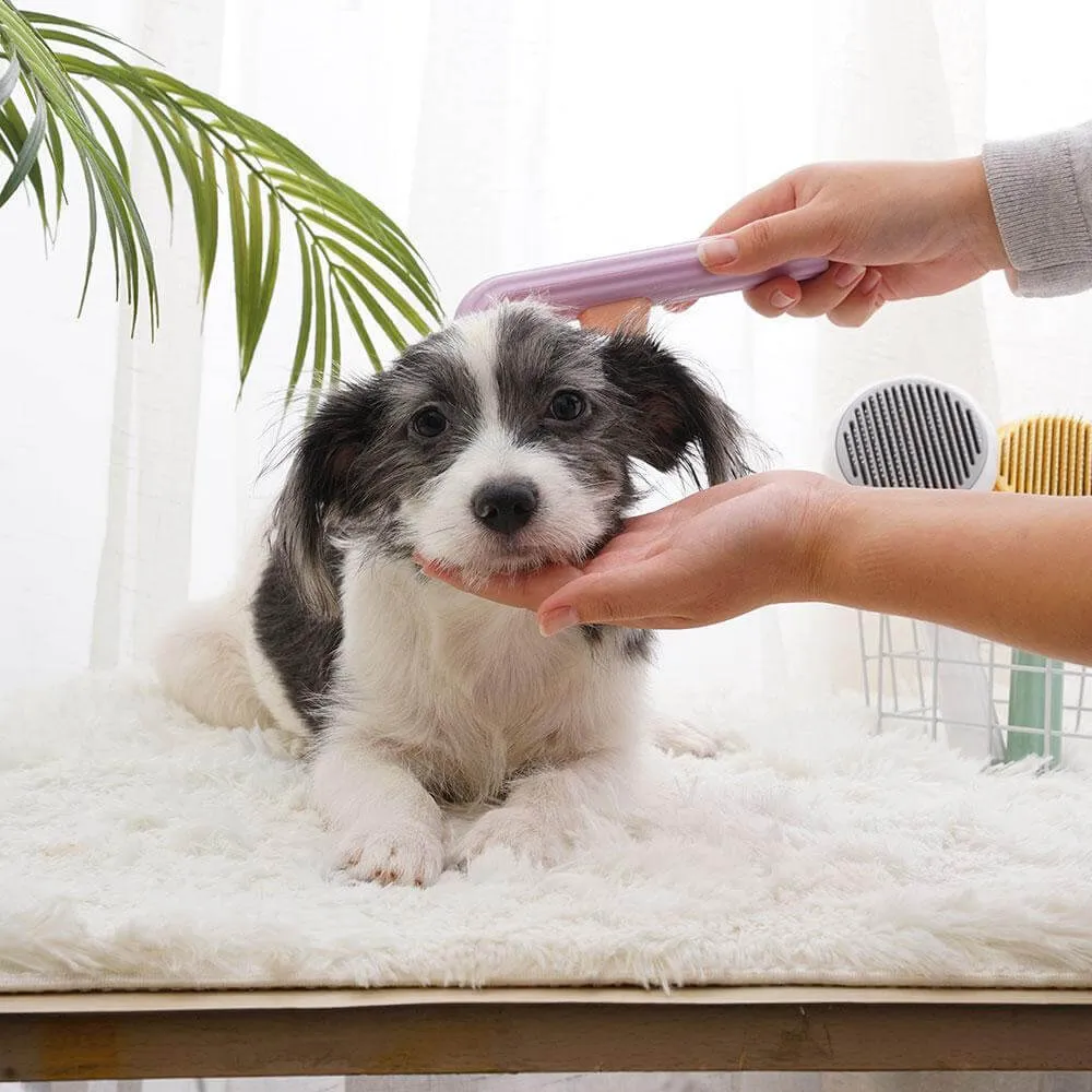 Pumpkin Pop Pet Brush