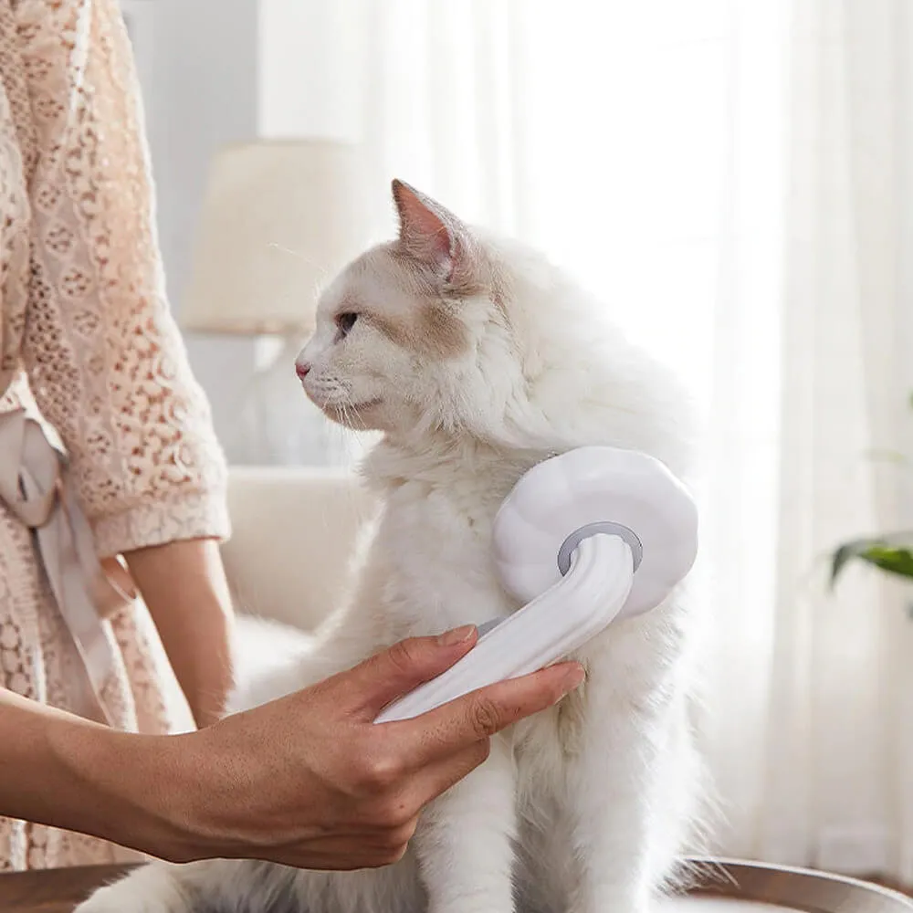 Pumpkin Pop Pet Brush