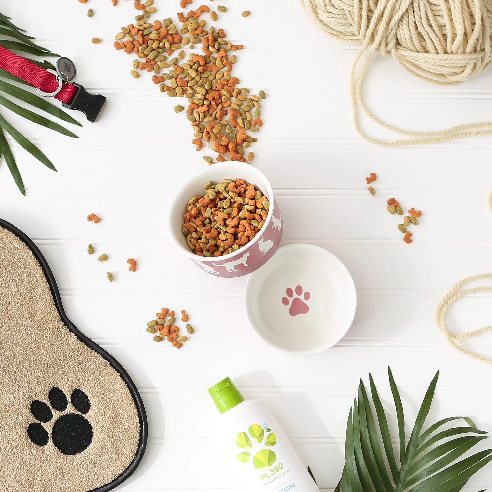 Rose Cat's Meow Pet Bowl Set of 2, Small - 3/4 C Capacity