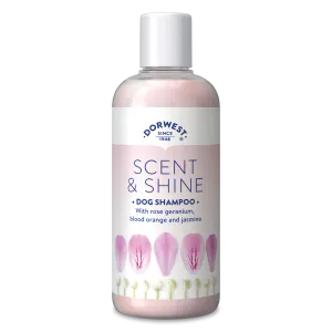 Scent & Shine Shampoo For Dogs