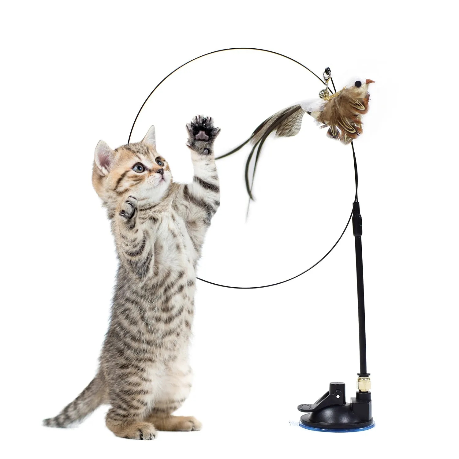 Simulation Bird Interactive Cat Toy