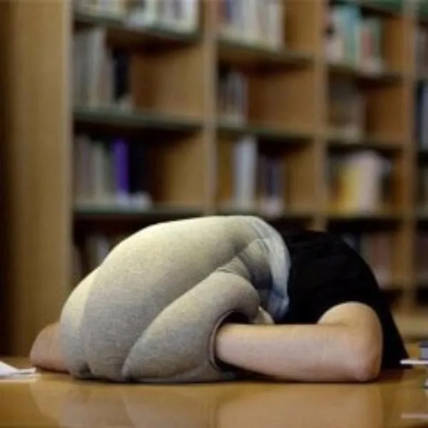 SOFT PROTECTIVE OSTRICH PILLOW