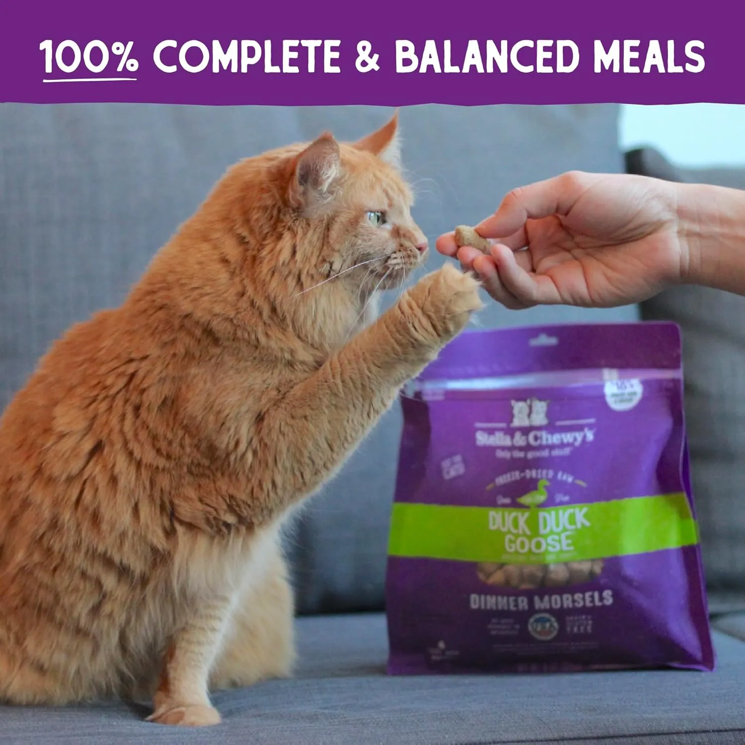 Stella & Chewy's Freeze-Dried Raw Cat Dinner Morsels - Premium Duck & Goose Recipe with 98% Cage-Free Poultry & Organs - Natural Grain-Free Cat & Kitten Food - Made in USA - 3.5 oz