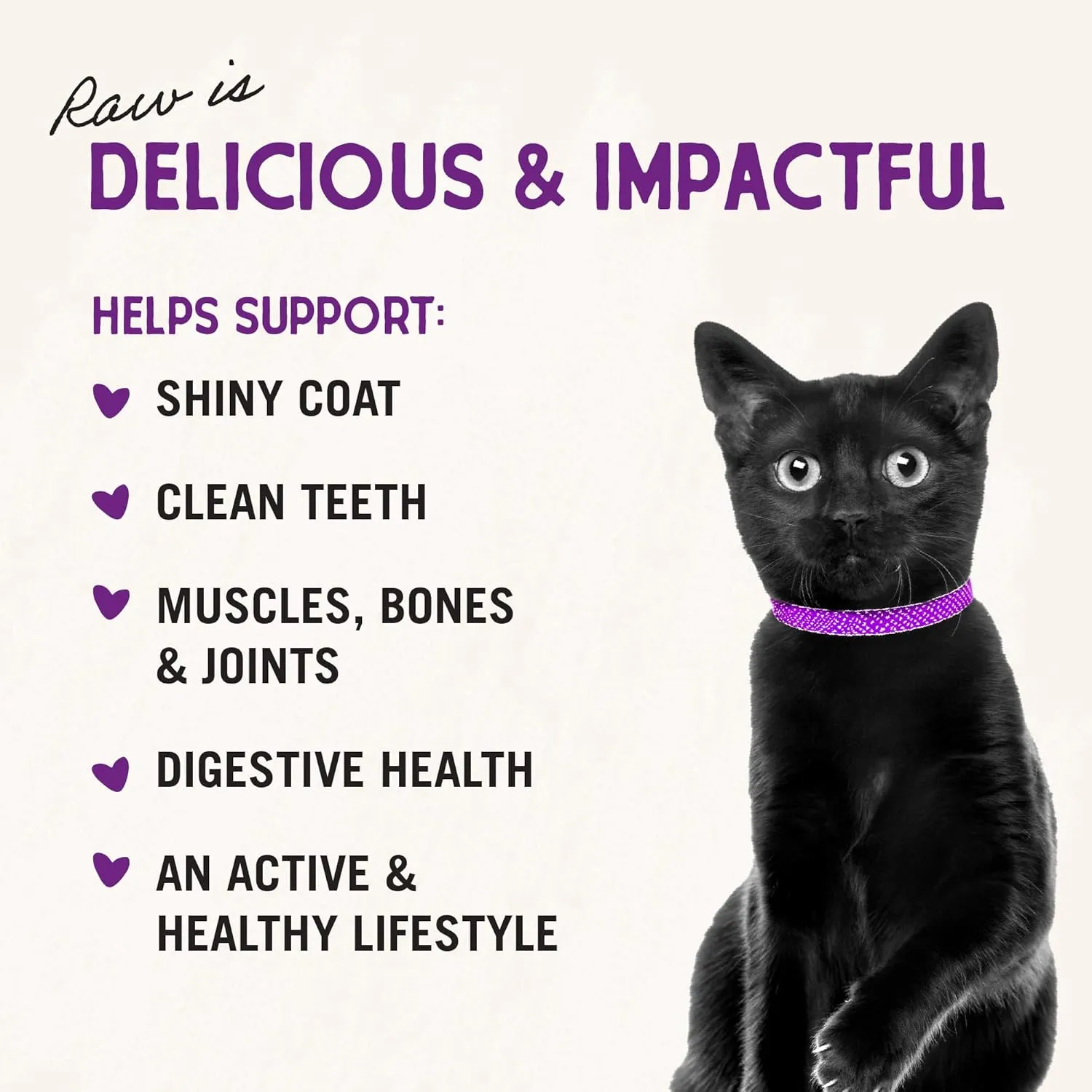 Stella & Chewy's Freeze-Dried Raw Cat Dinner Morsels - Premium Duck & Goose Recipe with 98% Cage-Free Poultry & Organs - Natural Grain-Free Cat & Kitten Food - Made in USA - 3.5 oz