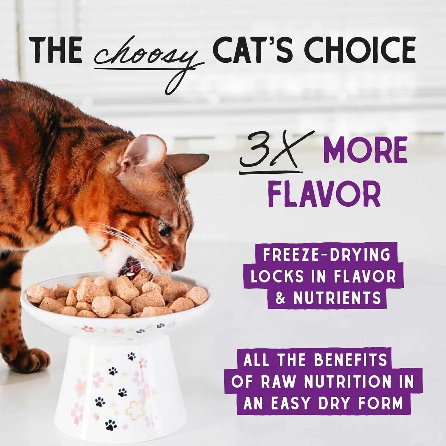 Stella & Chewy's Freeze-Dried Raw Cat Dinner Morsels - Premium Duck & Goose Recipe with 98% Cage-Free Poultry & Organs - Natural Grain-Free Cat & Kitten Food - Made in USA - 3.5 oz