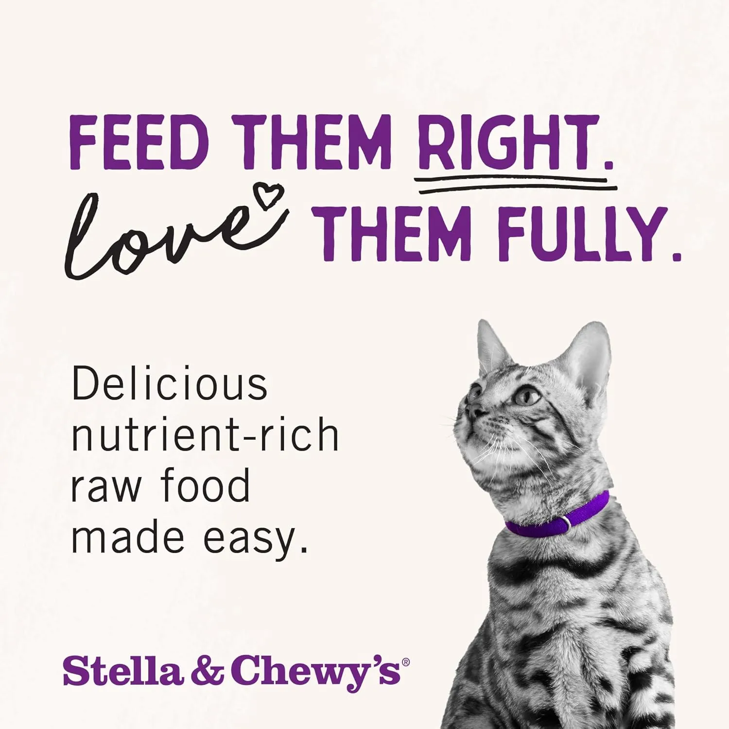 Stella & Chewy's Freeze-Dried Raw Cat Dinner Morsels - Premium Duck & Goose Recipe with 98% Cage-Free Poultry & Organs - Natural Grain-Free Cat & Kitten Food - Made in USA - 3.5 oz