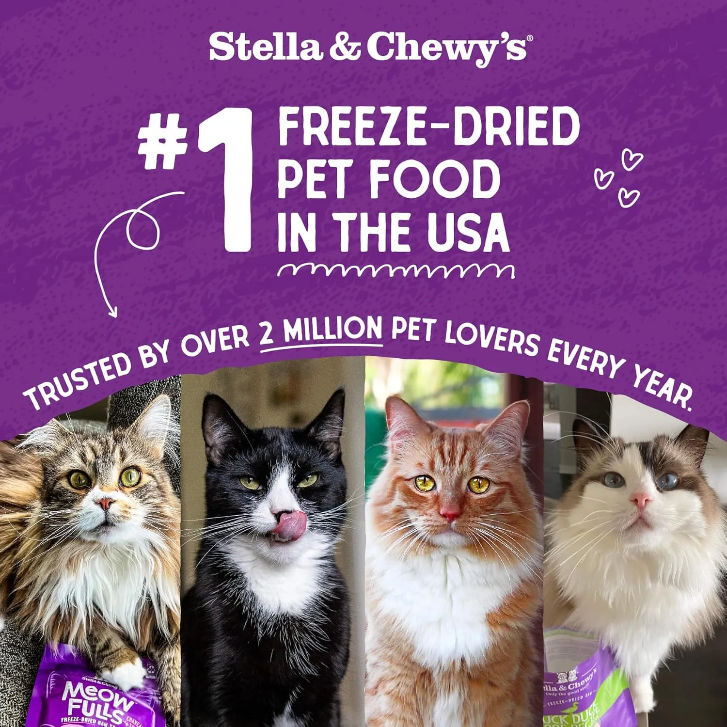 Stella & Chewy's Freeze-Dried Raw Cat Dinner Morsels - Premium Duck & Goose Recipe with 98% Cage-Free Poultry & Organs - Natural Grain-Free Cat & Kitten Food - Made in USA - 3.5 oz