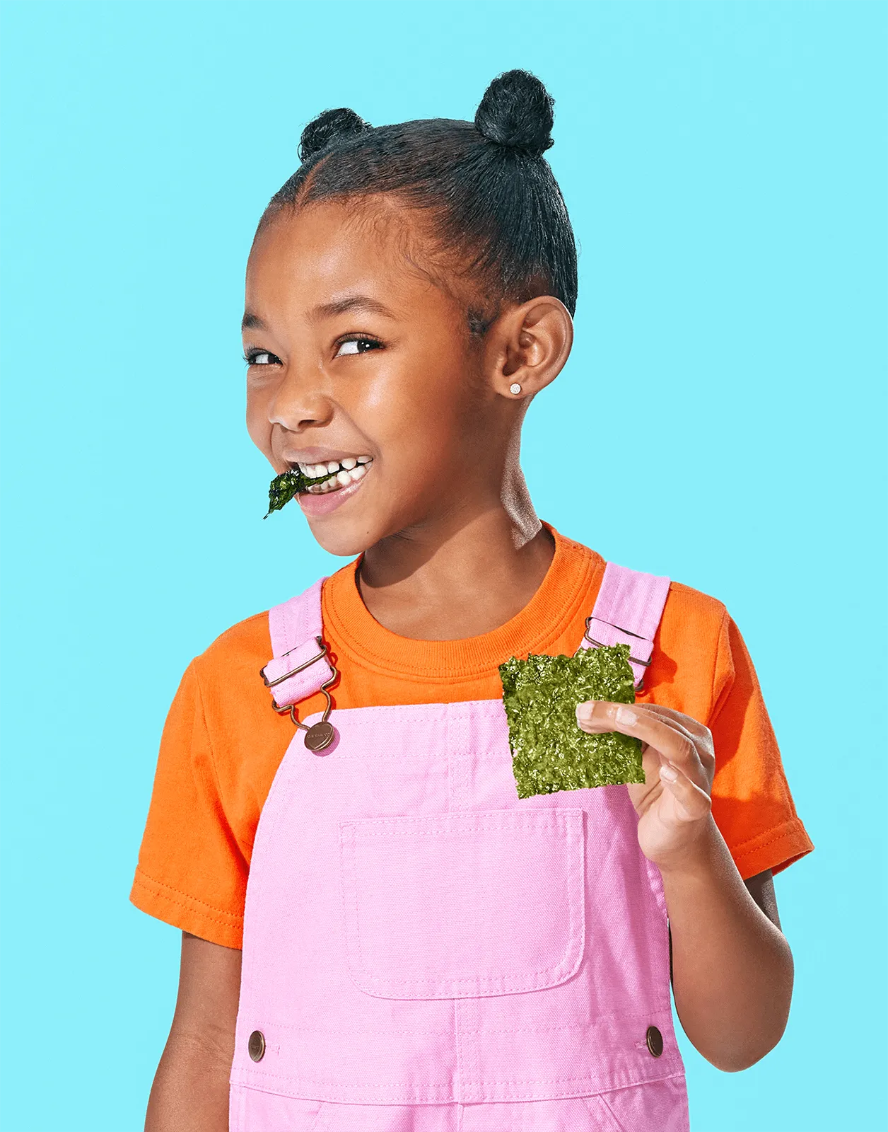 Toasted Sesame Seaweed Snacks - .17oz (6 Pack)