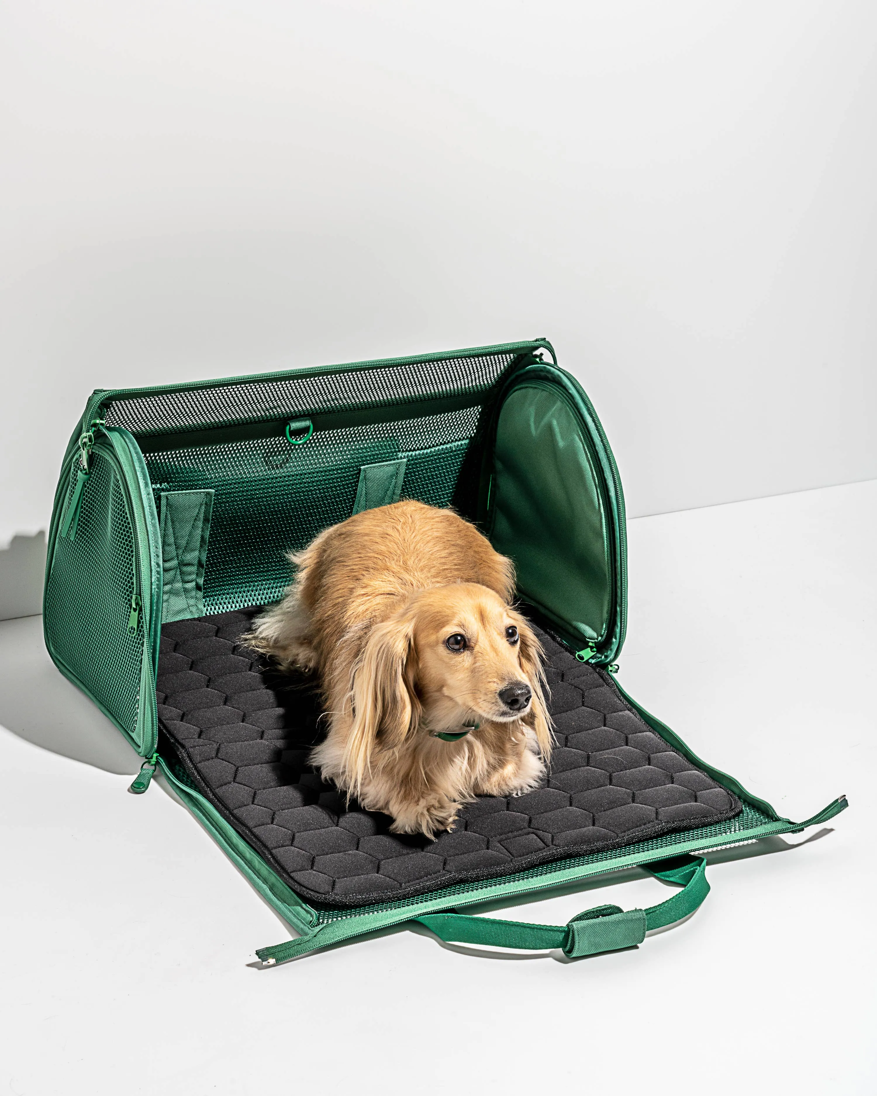 travel carrier - spruce