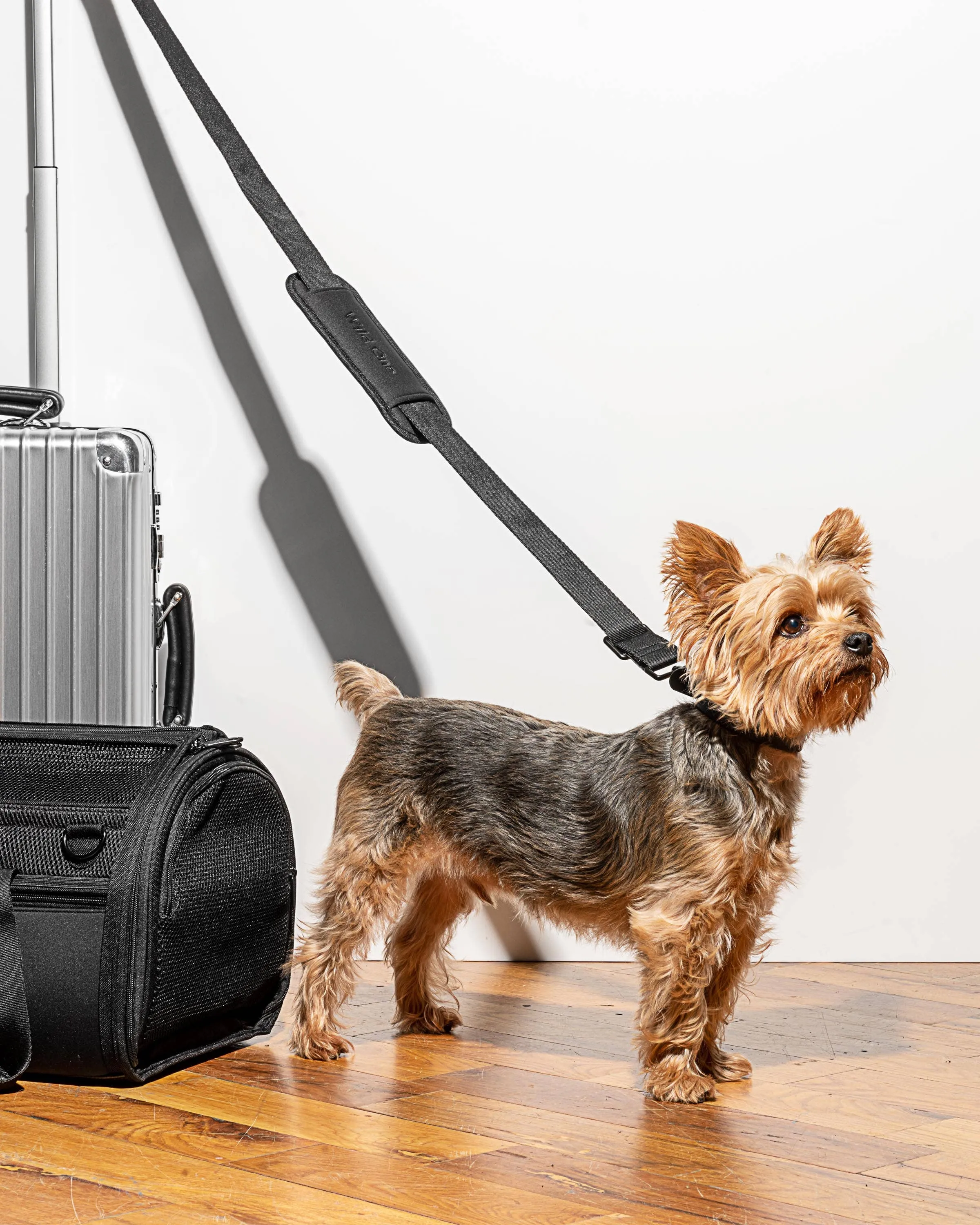 travel carrier - spruce