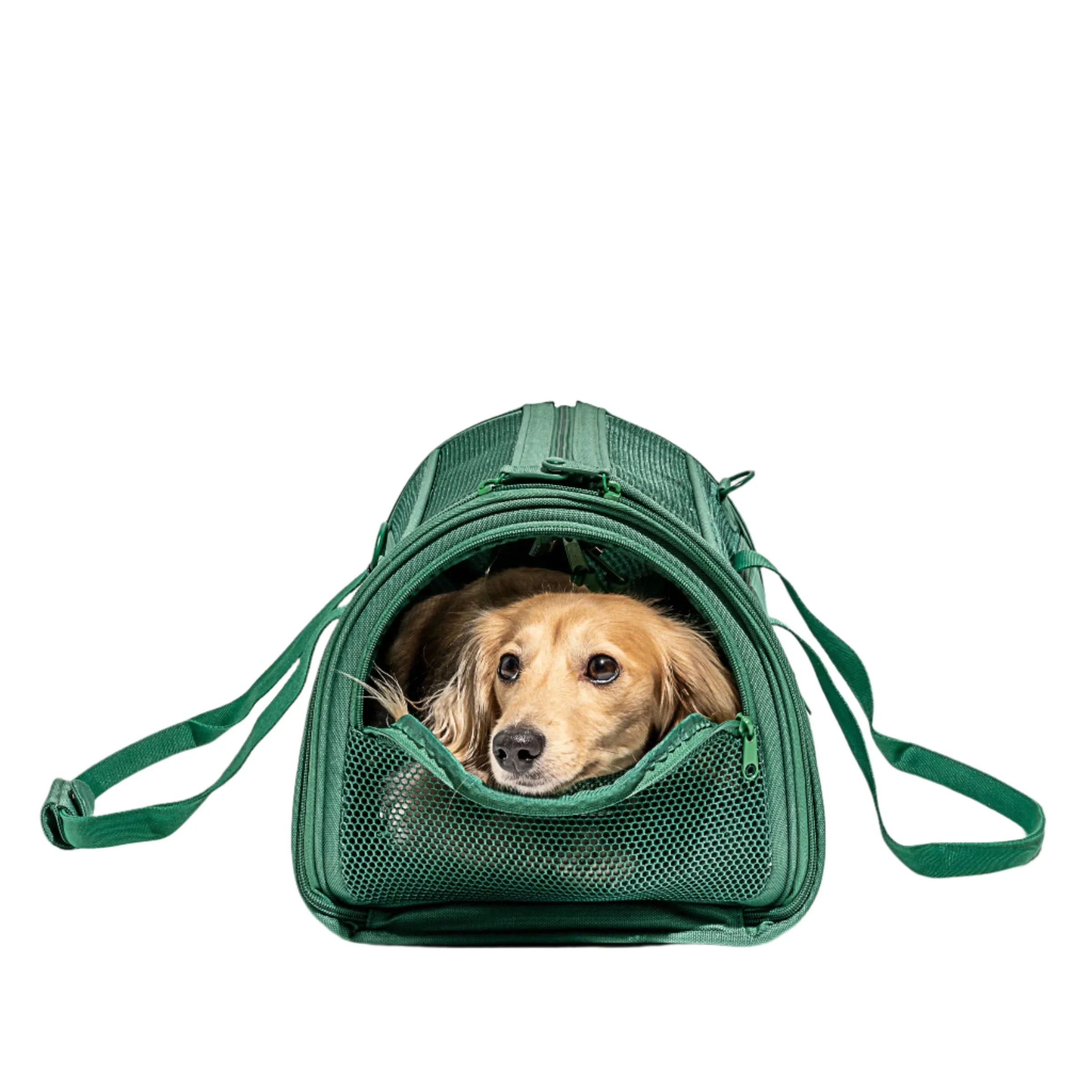 travel carrier - spruce