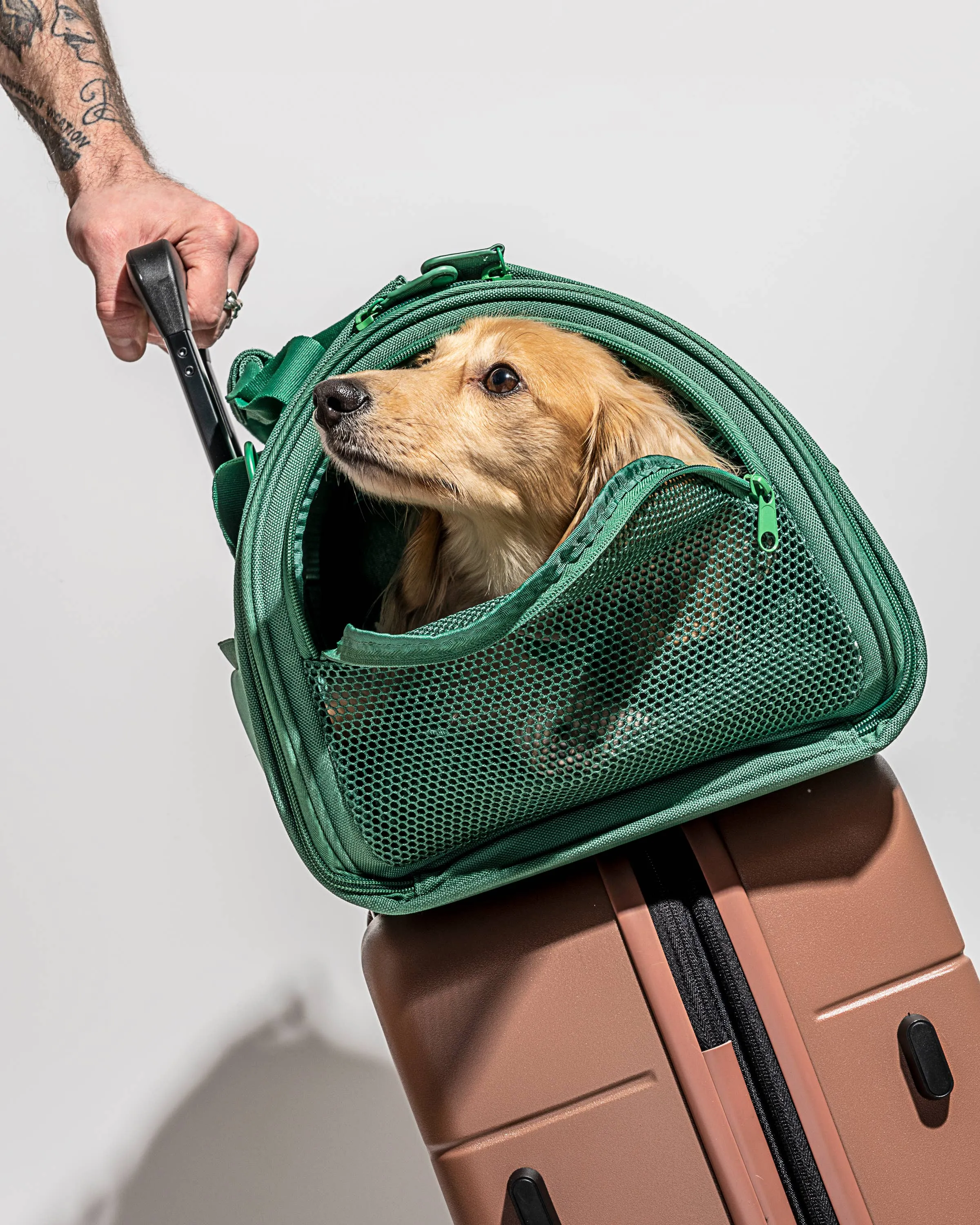 travel carrier - spruce