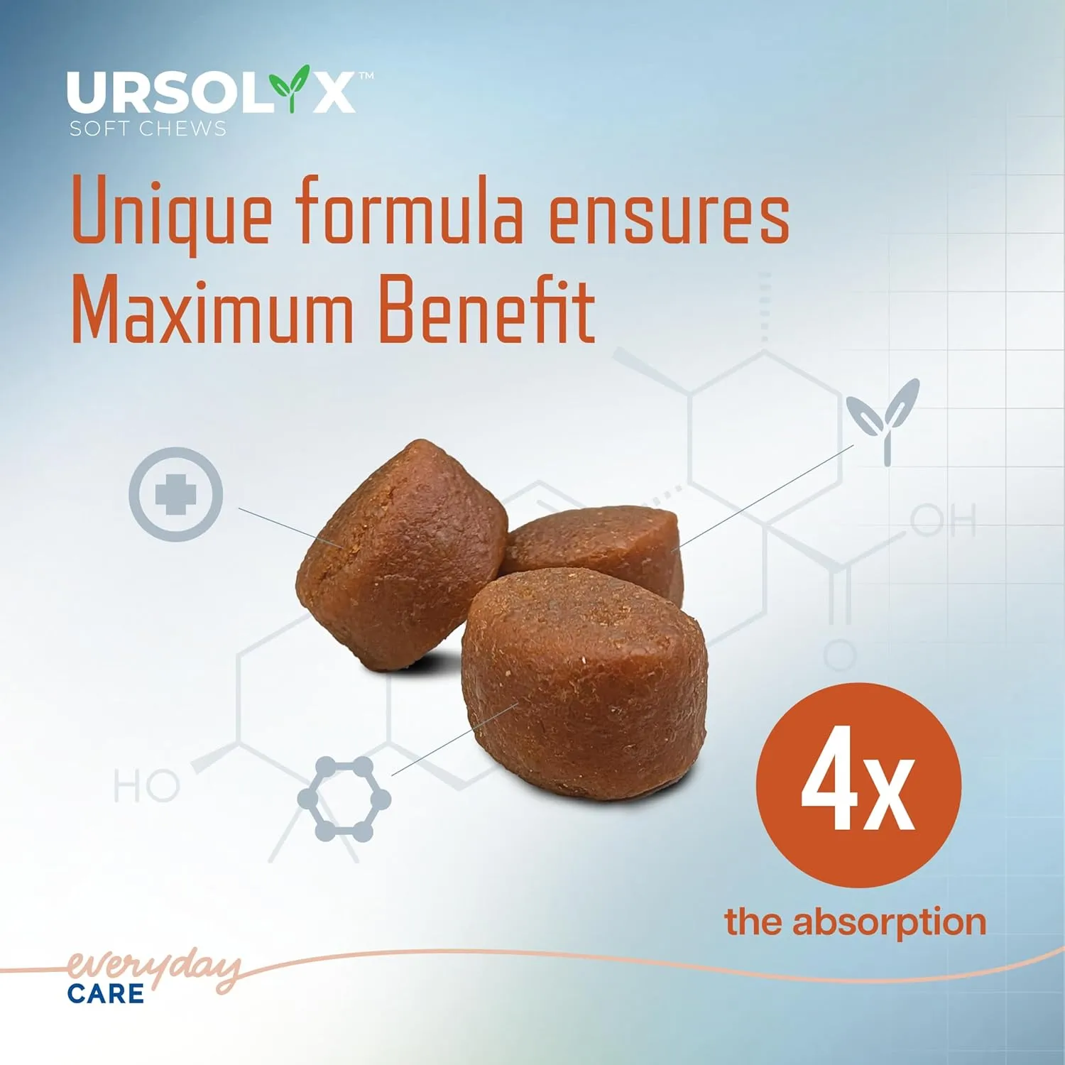Virbac URSOLYX Soft Chews for Dogs | Muscle Health Support for Senior, Active or Recovering Dogs, Small | 60 Count 2- Month Supply