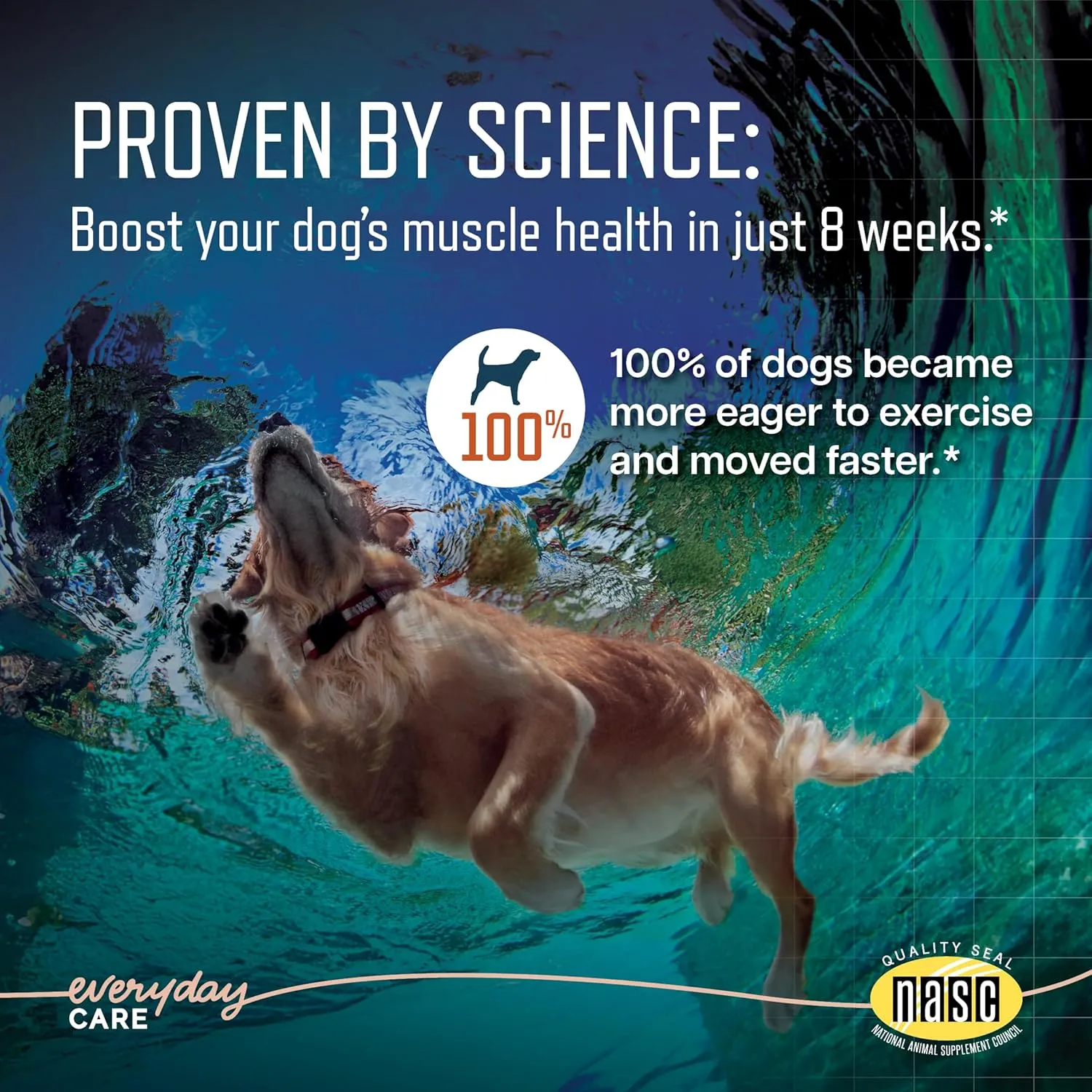 Virbac URSOLYX Soft Chews for Dogs | Muscle Health Support for Senior, Active or Recovering Dogs, Small | 60 Count 2- Month Supply