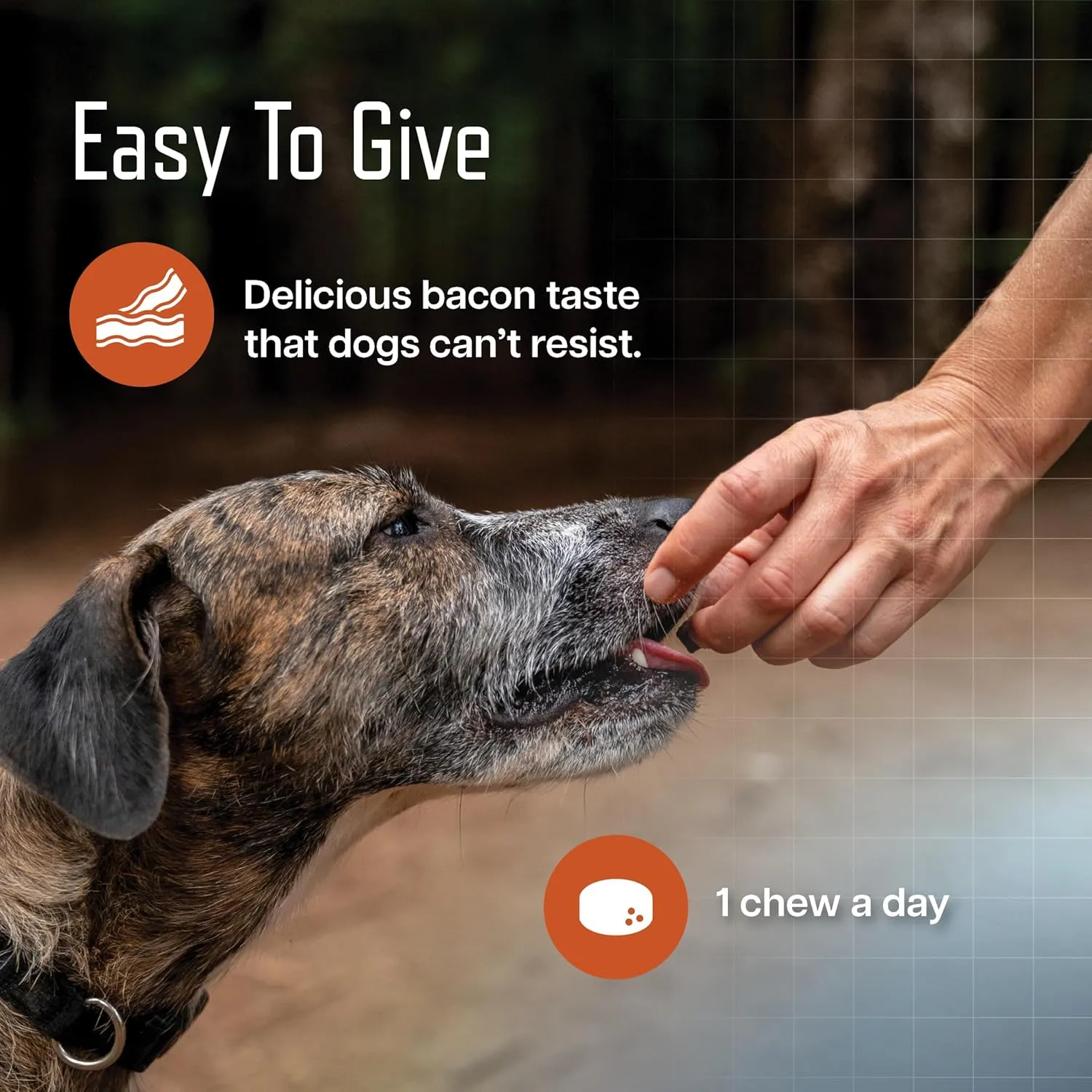 Virbac URSOLYX Soft Chews for Dogs | Muscle Health Support for Senior, Active or Recovering Dogs, Small | 60 Count 2- Month Supply